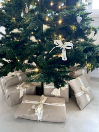 Dear Santa...